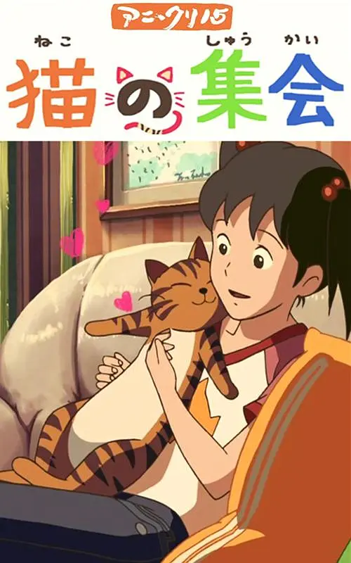 蜜乳视频