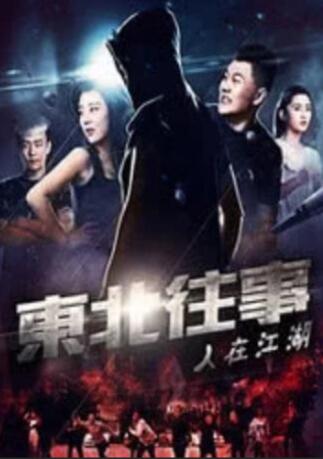 国产精品入口免费视频