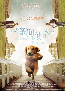高清欧美日韩