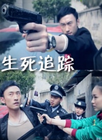奥托达凯