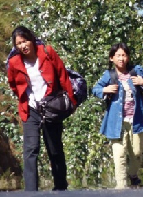 淫秽模型