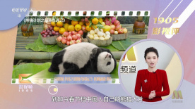 谁有av网址